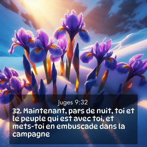 Segond21 Juges  ; image nature: image avec le verset biblique :Maintenant, pars de nuit, toi et le peuple qui est avec toi, et mets-toi en embuscade dans la campagne. ;  ; 9:32
