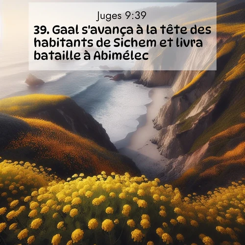 Segond21 Juges  ; image nature: image avec le verset biblique :Gaal s&#039;avança à la tête des habitants de Sichem et livra bataille à Abimélec. ;  ; 9:39