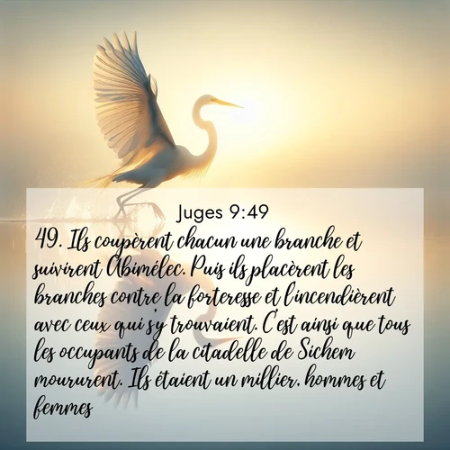 Segond21 Juges  ; image nature: image avec le verset biblique :Ils coupèrent chacun une branche et suivirent Abimélec. Puis ils placèrent les branches contre la forteresse et l&#039;incendièrent avec ceux qui s&#039;y trouvaient. C&#039;est ainsi que tous les occupants de la citadelle de Sichem moururent. Ils étaient un millier, hommes et femmes. ;  ; 9:49