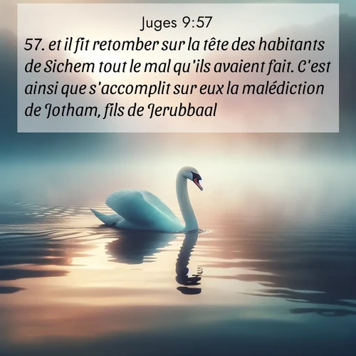 Segond21 Juges  ; image nature: image avec le verset biblique :et il fit retomber sur la tête des habitants de Sichem tout le mal qu&#039;ils avaient fait. C&#039;est ainsi que s&#039;accomplit sur eux la malédiction de Jotham, fils de Jerubbaal. ;  ; 9:57