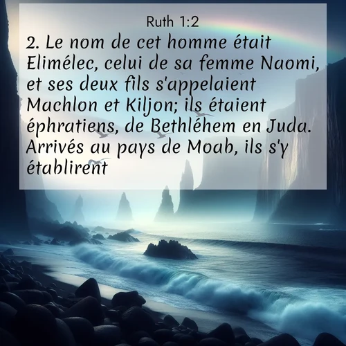 Segond21 8 1:2