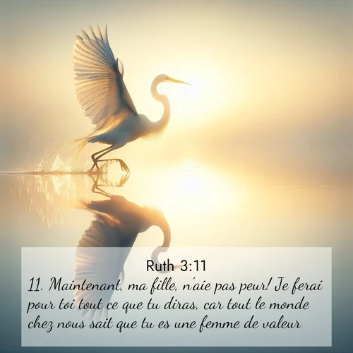 Segond21 Ruth  ; image nature: image avec le verset biblique :Maintenant, ma fille, n&#039;aie pas peur! Je ferai pour toi tout ce que tu diras, car tout le monde chez nous sait que tu es une femme de valeur. ;  ; 3:11