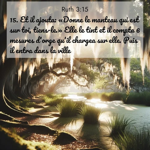Segond21 Ruth  ; image nature: image avec le verset biblique :Et il ajouta: «Donne le manteau qui est sur toi, tiens-le.» Elle le tint et il compta 6 mesures d&#039;orge qu&#039;il chargea sur elle. Puis il entra dans la ville. ;  ; 3:15