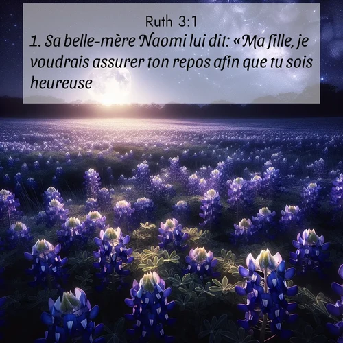 Segond21 Ruth  ; image nature: image avec le verset biblique :Sa belle-mère Naomi lui dit: «Ma fille, je voudrais assurer ton repos afin que tu sois heureuse. ;  ; 3:1