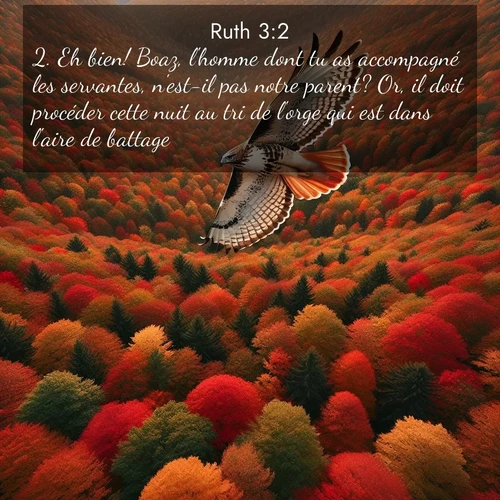 Segond21 Ruth  ; image nature: image avec le verset biblique :Eh bien! Boaz, l&#039;homme dont tu as accompagné les servantes, n&#039;est-il pas notre parent? Or, il doit procéder cette nuit au tri de l&#039;orge qui est dans l&#039;aire de battage. ;  ; 3:2