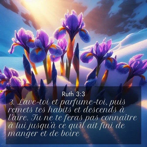Segond21 Ruth  ; image nature: image avec le verset biblique :Lave-toi et parfume-toi, puis remets tes habits et descends à l&#039;aire. Tu ne te feras pas connaître à lui jusqu&#039;à ce qu&#039;il ait fini de manger et de boire. ;  ; 3:3