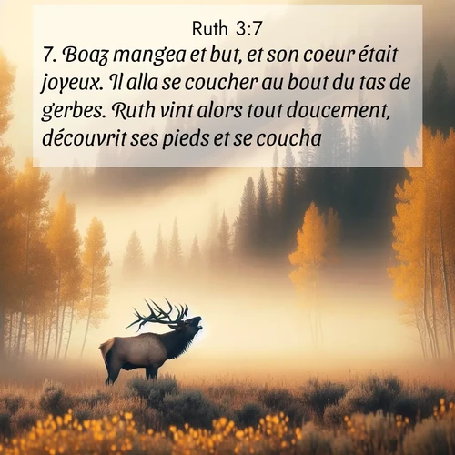 Segond21 Ruth  ; image nature: image avec le verset biblique :Boaz mangea et but, et son coeur était joyeux. Il alla se coucher au bout du tas de gerbes. Ruth vint alors tout doucement, découvrit ses pieds et se coucha. ;  ; 3:7