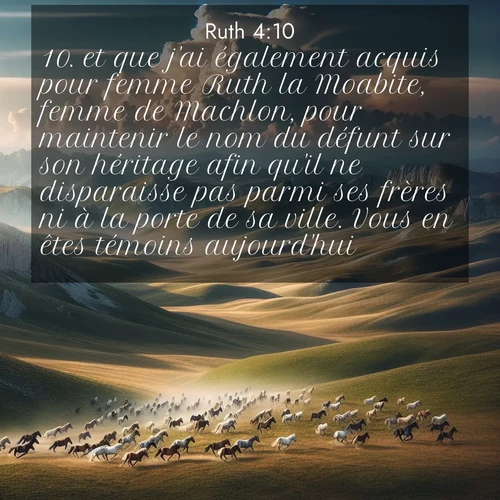 Segond21 Ruth  ; image nature: image avec le verset biblique :et que j&#039;ai également acquis pour femme Ruth la Moabite, femme de Machlon, pour maintenir le nom du défunt sur son héritage afin qu&#039;il ne disparaisse pas parmi ses frères ni à la porte de sa ville. Vous en êtes témoins aujourd&#039;hui!» ;  ; 4:10