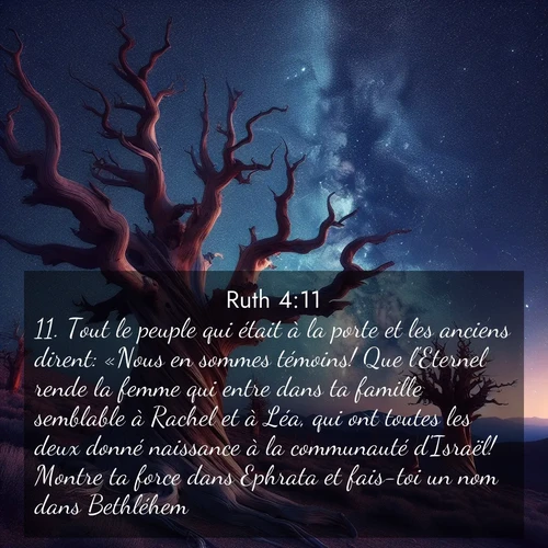 Segond21 Ruth  ; image nature: image avec le verset biblique :Tout le peuple qui était à la porte et les anciens dirent: «Nous en sommes témoins! Que l&#039;Eternel rende la femme qui entre dans ta famille semblable à Rachel et à Léa, qui ont toutes les deux donné naissance à la communauté d&#039;Israël! Montre ta force dans Ephrata et fais-toi un nom dans Bethléhem! ;  ; 4:11