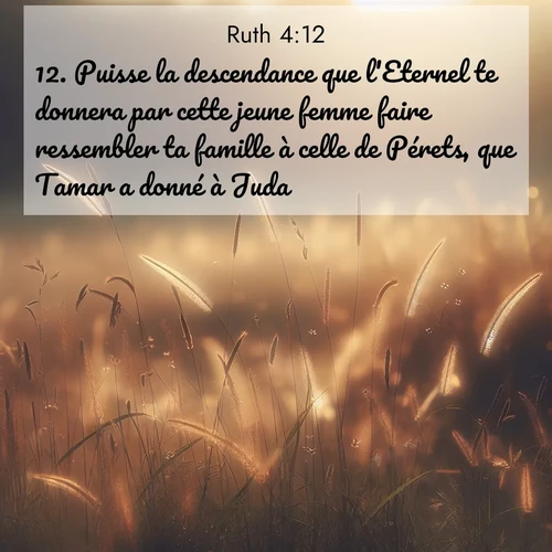 Segond21 Ruth  ; image nature: image avec le verset biblique :Puisse la descendance que l&#039;Eternel te donnera par cette jeune femme faire ressembler ta famille à celle de Pérets, que Tamar a donné à Juda!» ;  ; 4:12