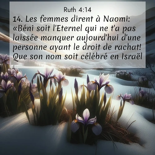 Segond21 Ruth  ; image nature: image avec le verset biblique :Les femmes dirent à Naomi: «Béni soit l&#039;Eternel qui ne t&#039;a pas laissée manquer aujourd&#039;hui d&#039;une personne ayant le droit de rachat! Que son nom soit célébré en Israël! ;  ; 4:14