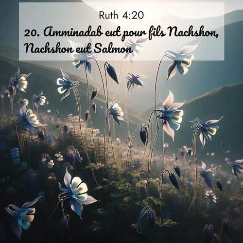 Segond21 Ruth  ; image nature: image avec le verset biblique :Amminadab eut pour fils Nachshon, Nachshon eut Salmon, ;  ; 4:20