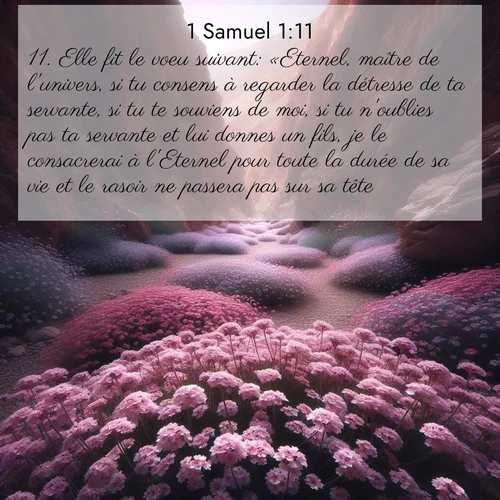 Segond21 1 Samuel  ; image nature: image avec le verset biblique :Elle fit le voeu suivant: «Eternel, maître de l&#039;univers, si tu consens à regarder la détresse de ta servante, si tu te souviens de moi, si tu n&#039;oublies pas ta servante et lui donnes un fils, je le consacrerai à l&#039;Eternel pour toute la durée de sa vie et le rasoir ne passera pas sur sa tête.» ;  ; 1:11