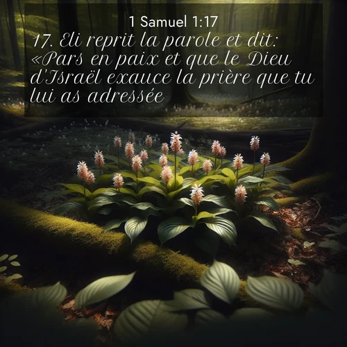 Segond21 1 Samuel  ; image nature: image avec le verset biblique :Eli reprit la parole et dit: «Pars en paix et que le Dieu d&#039;Israël exauce la prière que tu lui as adressée!» ;  ; 1:17