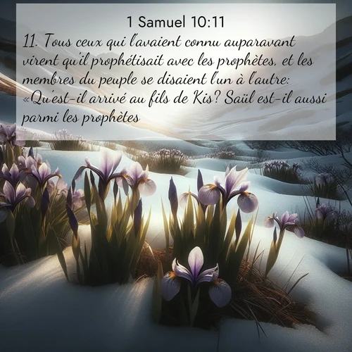 Segond21 1 Samuel  ; image nature: image avec le verset biblique :Tous ceux qui l&#039;avaient connu auparavant virent qu&#039;il prophétisait avec les prophètes, et les membres du peuple se disaient l&#039;un à l&#039;autre: «Qu&#039;est-il arrivé au fils de Kis? Saül est-il aussi parmi les prophètes?» ;  ; 10:11