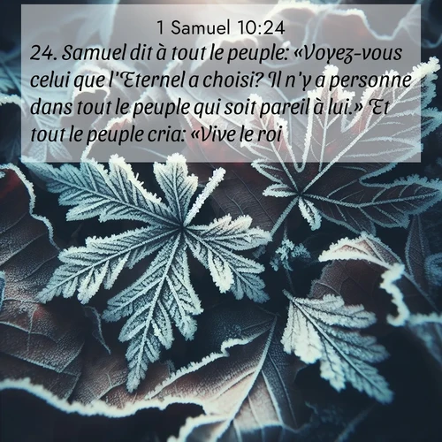 Segond21 1 Samuel  ; image nature: image avec le verset biblique :Samuel dit à tout le peuple: «Voyez-vous celui que l&#039;Eternel a choisi? Il n&#039;y a personne dans tout le peuple qui soit pareil à lui.» Et tout le peuple cria: «Vive le roi!» ;  ; 10:24