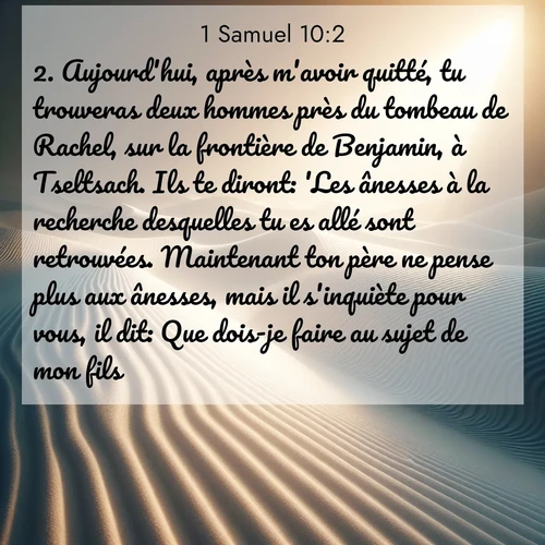 Segond21 1 Samuel  ; image nature: image avec le verset biblique :Aujourd&#039;hui, après m&#039;avoir quitté, tu trouveras deux hommes près du tombeau de Rachel, sur la frontière de Benjamin, à Tseltsach. Ils te diront: &#039;Les ânesses à la recherche desquelles tu es allé sont retrouvées. Maintenant ton père ne pense plus aux ânesses, mais il s&#039;inquiète pour vous, il dit: Que dois-je faire au sujet de mon fils?&#039; ;  ; 10:2