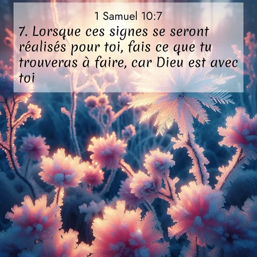 Segond21 1 Samuel  ; image nature: image avec le verset biblique :Lorsque ces signes se seront réalisés pour toi, fais ce que tu trouveras à faire, car Dieu est avec toi. ;  ; 10:7