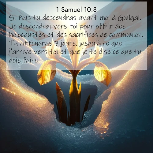 Segond21 1 Samuel  ; image nature: image avec le verset biblique :Puis tu descendras avant moi à Guilgal. Je descendrai vers toi pour offrir des holocaustes et des sacrifices de communion. Tu attendras 7 jours, jusqu&#039;à ce que j&#039;arrive vers toi et que je te dise ce que tu dois faire.» ;  ; 10:8