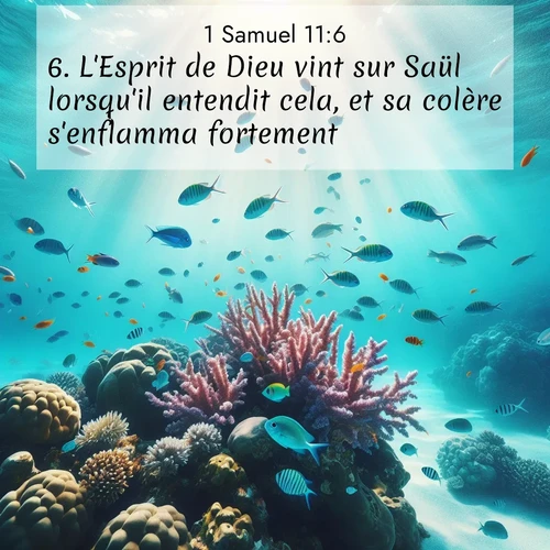 Segond21 1 Samuel  ; image nature: image avec le verset biblique :L&#039;Esprit de Dieu vint sur Saül lorsqu&#039;il entendit cela, et sa colère s&#039;enflamma fortement. ;  ; 11:6