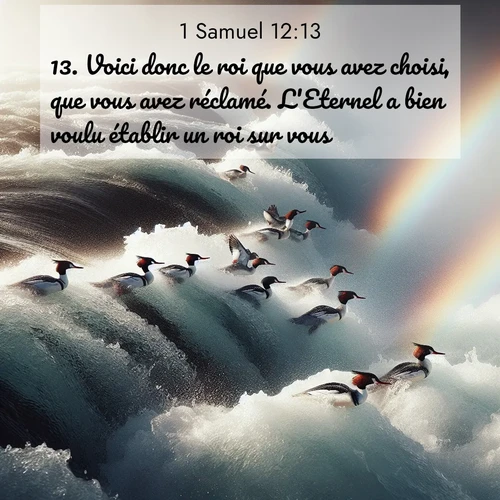 Segond21 1 Samuel  ; image nature: image avec le verset biblique :Voici donc le roi que vous avez choisi, que vous avez réclamé. L&#039;Eternel a bien voulu établir un roi sur vous, ;  ; 12:13