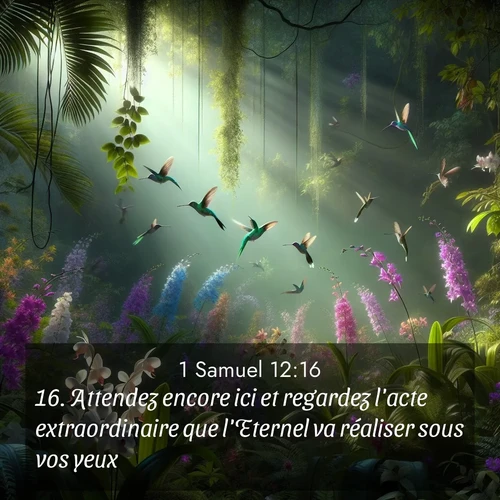 Segond21 1 Samuel  ; image nature: image avec le verset biblique :Attendez encore ici et regardez l&#039;acte extraordinaire que l&#039;Eternel va réaliser sous vos yeux. ;  ; 12:16