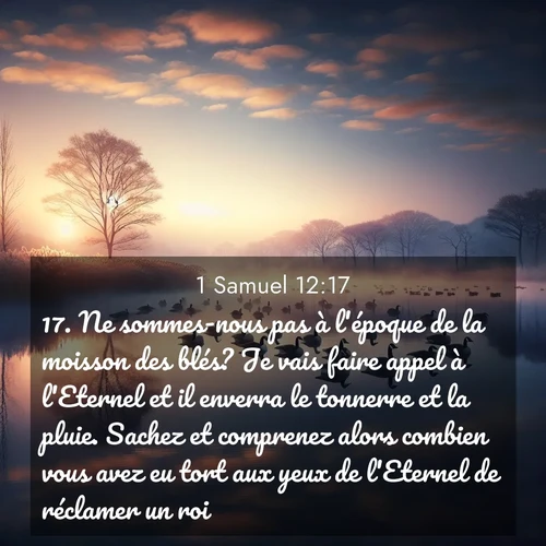 Segond21 1 Samuel  ; image nature: image avec le verset biblique :Ne sommes-nous pas à l&#039;époque de la moisson des blés? Je vais faire appel à l&#039;Eternel et il enverra le tonnerre et la pluie. Sachez et comprenez alors combien vous avez eu tort aux yeux de l&#039;Eternel de réclamer un roi.» ;  ; 12:17