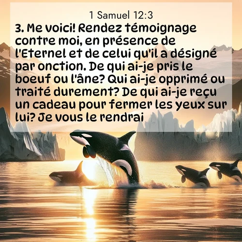 Segond21 1 Samuel  ; image nature: image avec le verset biblique :Me voici! Rendez témoignage contre moi, en présence de l&#039;Eternel et de celui qu&#039;il a désigné par onction. De qui ai-je pris le boeuf ou l&#039;âne? Qui ai-je opprimé ou traité durement? De qui ai-je reçu un cadeau pour fermer les yeux sur lui? Je vous le rendrai.» ;  ; 12:3