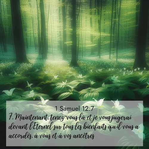 Segond21 1 Samuel  ; image nature: image avec le verset biblique :Maintenant, tenez-vous là et je vous jugerai devant l&#039;Eternel sur tous les bienfaits qu&#039;il vous a accordés, à vous et à vos ancêtres. ;  ; 12:7
