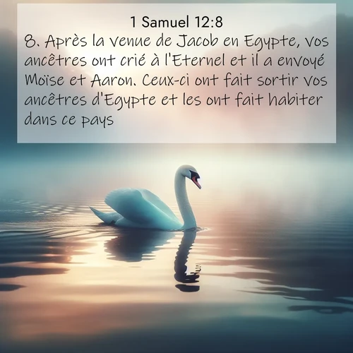 Segond21 1 Samuel  ; image nature: image avec le verset biblique :Après la venue de Jacob en Egypte, vos ancêtres ont crié à l&#039;Eternel et il a envoyé Moïse et Aaron. Ceux-ci ont fait sortir vos ancêtres d&#039;Egypte et les ont fait habiter dans ce pays. ;  ; 12:8