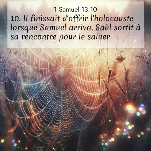 Segond21 1 Samuel  ; image nature: image avec le verset biblique :Il finissait d&#039;offrir l&#039;holocauste lorsque Samuel arriva. Saül sortit à sa rencontre pour le saluer. ;  ; 13:10