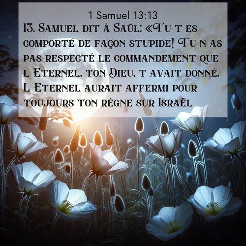 Segond21 1 Samuel  ; image nature: image avec le verset biblique :Samuel dit à Saül: «Tu t&#039;es comporté de façon stupide! Tu n&#039;as pas respecté le commandement que l&#039;Eternel, ton Dieu, t&#039;avait donné. L&#039;Eternel aurait affermi pour toujours ton règne sur Israël, ;  ; 13:13