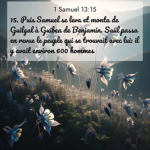 Segond21 1 Samuel  ; image nature: image avec le verset biblique :Puis Samuel se leva et monta de Guilgal à Guibea de Benjamin. Saül passa en revue le peuple qui se trouvait avec lui: il y avait environ 600 hommes. ;  ; 13:15