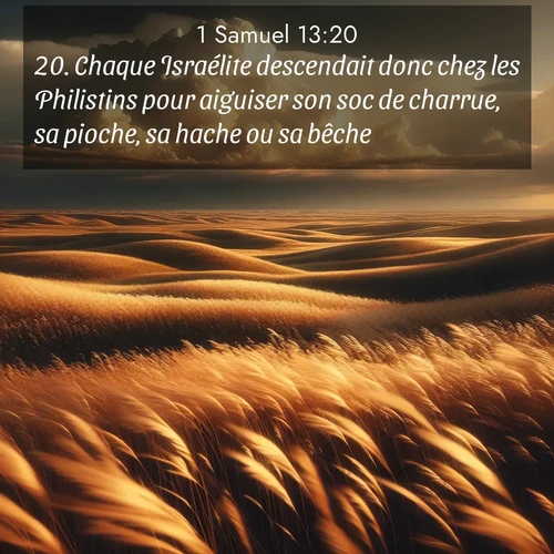 Segond21 1 Samuel  ; image nature: image avec le verset biblique :Chaque Israélite descendait donc chez les Philistins pour aiguiser son soc de charrue, sa pioche, sa hache ou sa bêche. ;  ; 13:20