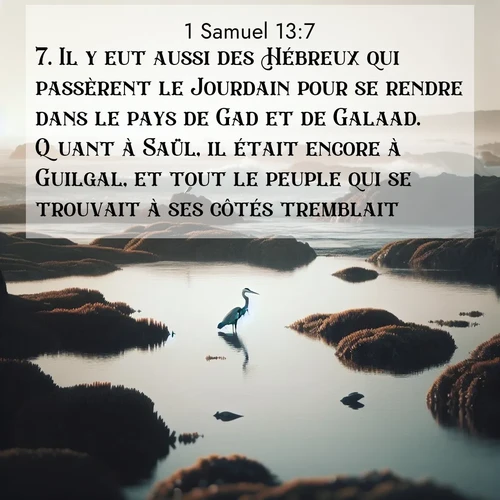 Segond21 1 Samuel  ; image nature: image avec le verset biblique :Il y eut aussi des Hébreux qui passèrent le Jourdain pour se rendre dans le pays de Gad et de Galaad. Quant à Saül, il était encore à Guilgal, et tout le peuple qui se trouvait à ses côtés tremblait. ;  ; 13:7