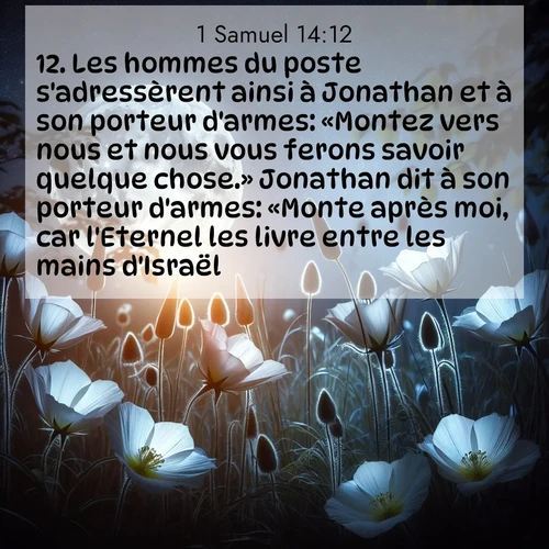 Segond21 1 Samuel  ; image nature: image avec le verset biblique :Les hommes du poste s&#039;adressèrent ainsi à Jonathan et à son porteur d&#039;armes: «Montez vers nous et nous vous ferons savoir quelque chose.» Jonathan dit à son porteur d&#039;armes: «Monte après moi, car l&#039;Eternel les livre entre les mains d&#039;Israël.» ;  ; 14:12