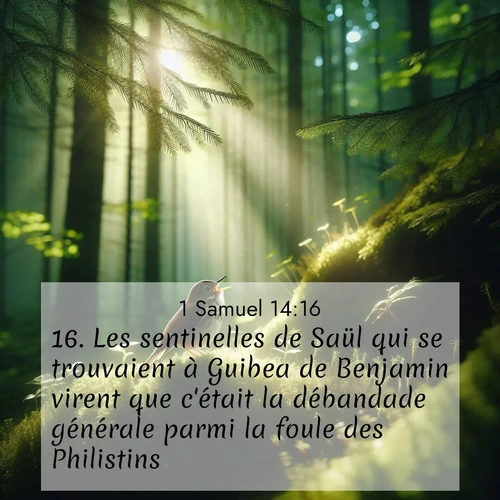 Segond21 1 Samuel  ; image nature: image avec le verset biblique :Les sentinelles de Saül qui se trouvaient à Guibea de Benjamin virent que c&#039;était la débandade générale parmi la foule des Philistins. ;  ; 14:16
