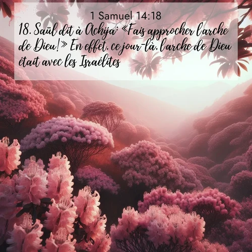 Segond21 1 Samuel  ; image nature: image avec le verset biblique :Saül dit à Achija: «Fais approcher l&#039;arche de Dieu!» En effet, ce jour-là, l&#039;arche de Dieu était avec les Israélites. ;  ; 14:18