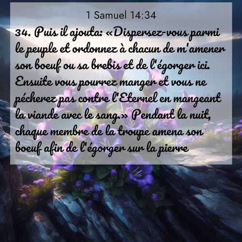 Segond21 1 Samuel  ; image nature: image avec le verset biblique :Puis il ajouta: «Dispersez-vous parmi le peuple et ordonnez à chacun de m&#039;amener son boeuf ou sa brebis et de l&#039;égorger ici. Ensuite vous pourrez manger et vous ne pécherez pas contre l&#039;Eternel en mangeant la viande avec le sang.» Pendant la nuit, chaque membre de la troupe amena son boeuf afin de l&#039;égorger sur la pierre. ;  ; 14:34