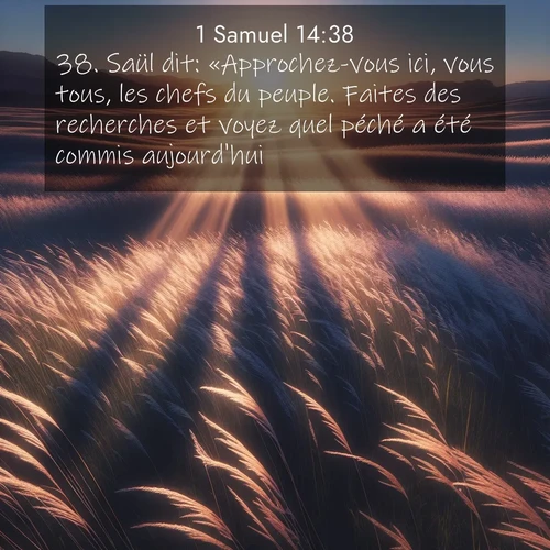 Segond21 1 Samuel  ; image nature: image avec le verset biblique :Saül dit: «Approchez-vous ici, vous tous, les chefs du peuple. Faites des recherches et voyez quel péché a été commis aujourd&#039;hui. ;  ; 14:38
