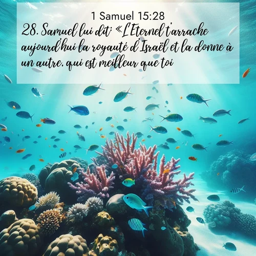 Segond21 1 Samuel  ; image nature: image avec le verset biblique :Samuel lui dit: «L&#039;Eternel t&#039;arrache aujourd&#039;hui la royauté d&#039;Israël et la donne à un autre, qui est meilleur que toi. ;  ; 15:28