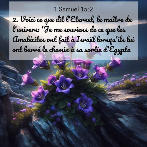 Segond21 1 Samuel  ; image nature: image avec le verset biblique :Voici ce que dit l&#039;Eternel, le maître de l&#039;univers: &#039;Je me souviens de ce que les Amalécites ont fait à Israël lorsqu&#039;ils lui ont barré le chemin à sa sortie d&#039;Egypte. ;  ; 15:2
