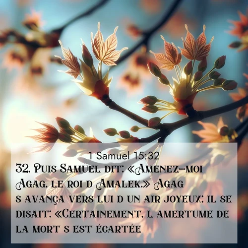 Segond21 1 Samuel  ; image nature: image avec le verset biblique :Puis Samuel dit: «Amenez-moi Agag, le roi d&#039;Amalek.» Agag s&#039;avança vers lui d&#039;un air joyeux; il se disait: «Certainement, l&#039;amertume de la mort s&#039;est écartée.» ;  ; 15:32