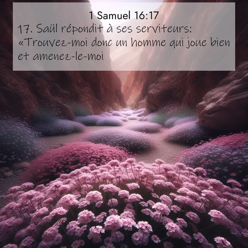 Segond21 1 Samuel  ; image nature: image avec le verset biblique :Saül répondit à ses serviteurs: «Trouvez-moi donc un homme qui joue bien et amenez-le-moi.» ;  ; 16:17