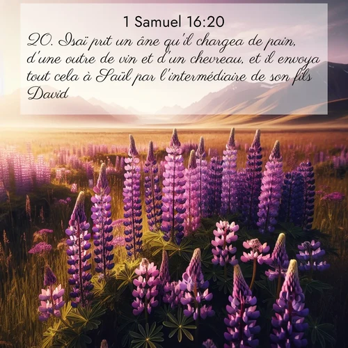 Segond21 1 Samuel  ; image nature: image avec le verset biblique :Isaï prit un âne qu&#039;il chargea de pain, d&#039;une outre de vin et d&#039;un chevreau, et il envoya tout cela à Saül par l&#039;intermédiaire de son fils David. ;  ; 16:20