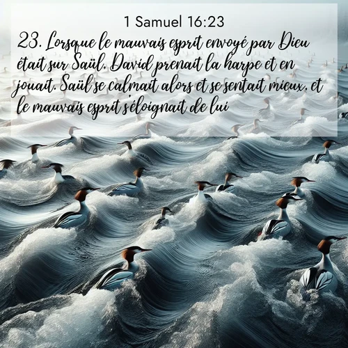 Segond21 1 Samuel  ; image nature: image avec le verset biblique :Lorsque le mauvais esprit envoyé par Dieu était sur Saül, David prenait la harpe et en jouait. Saül se calmait alors et se sentait mieux, et le mauvais esprit s&#039;éloignait de lui. ;  ; 16:23