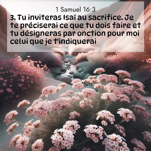 Segond21 1 Samuel  ; image nature: image avec le verset biblique :Tu inviteras Isaï au sacrifice. Je te préciserai ce que tu dois faire et tu désigneras par onction pour moi celui que je t&#039;indiquerai.» ;  ; 16:3