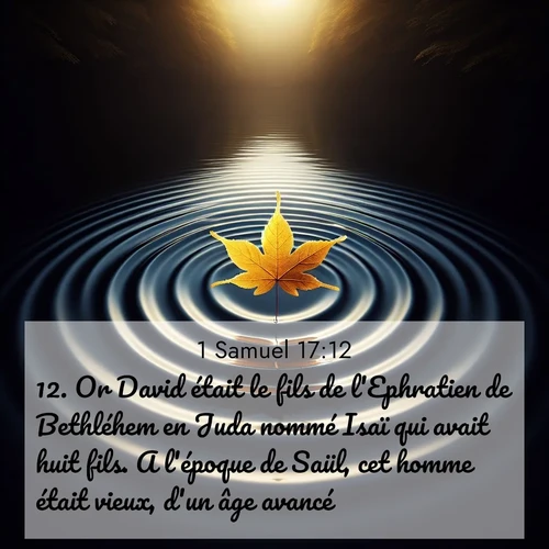 Segond21 1 Samuel  ; image nature: image avec le verset biblique :Or David était le fils de l&#039;Ephratien de Bethléhem en Juda nommé Isaï qui avait huit fils. A l&#039;époque de Saül, cet homme était vieux, d&#039;un âge avancé. ;  ; 17:12