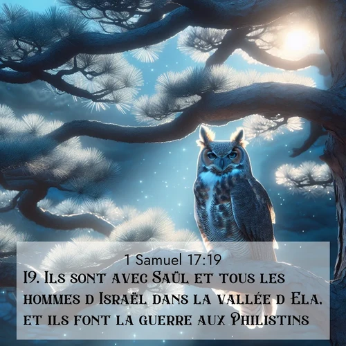 Segond21 1 Samuel  ; image nature: image avec le verset biblique :Ils sont avec Saül et tous les hommes d&#039;Israël dans la vallée d&#039;Ela, et ils font la guerre aux Philistins.» ;  ; 17:19