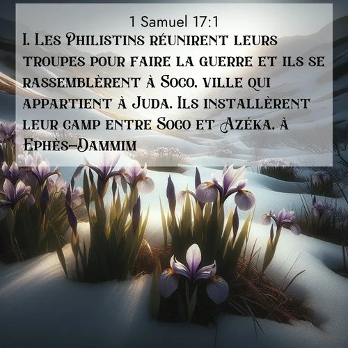 Segond21 1 Samuel  ; image nature: image avec le verset biblique :Les Philistins réunirent leurs troupes pour faire la guerre et ils se rassemblèrent à Soco, ville qui appartient à Juda. Ils installèrent leur camp entre Soco et Azéka, à Ephès-Dammim. ;  ; 17:1